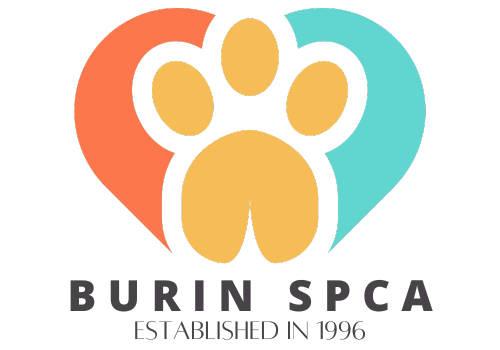 Burin SPCA